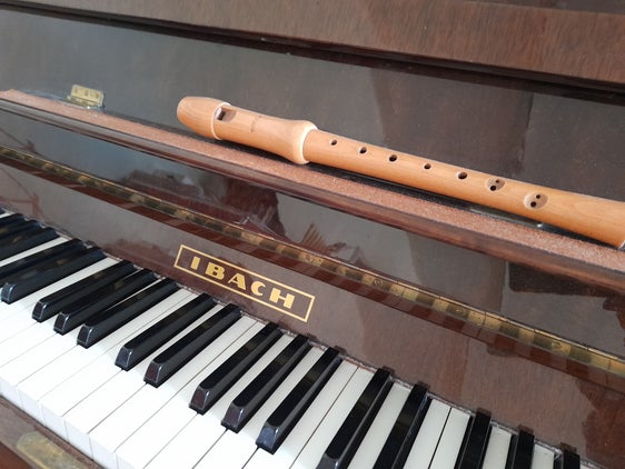 In seguito all'approvazione di una bozza di delibera sull'introduzione del nuovo ordinamento degli studi delle Scuole di musica tedesche e ladine, verranno modificate anche le tariffe di noleggio degli strumenti: se uno strumento costa meno di 400 euro, la tariffa di noleggio sarà ridotta. In precedenza, la tariffa era indipendente dal prezzo dello strumento. (Foto: USP/Maja Clara)