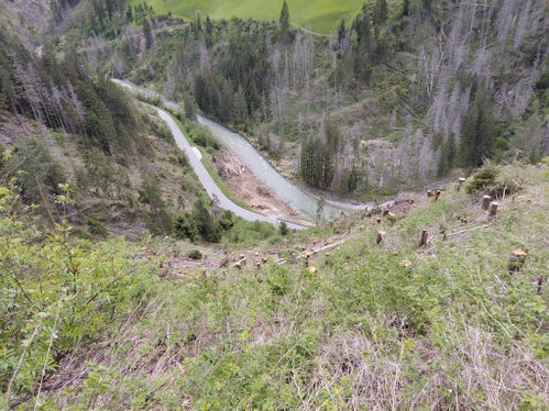 Durch die Holzschlägerungsarbeiten konnte die Gefahr für die darunter befindliche Straße verringert werden. (Foto: LPA/Forstinspektorat Bruneck/Forststation St. Vigil in Enneberg)
