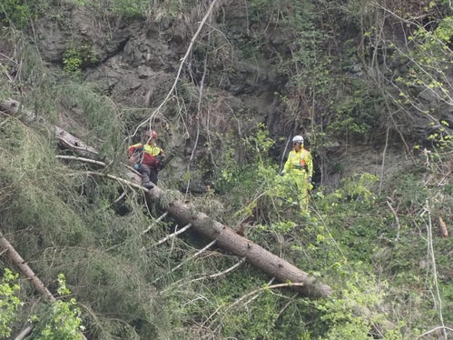 Zwischen Ende April und Mitte Mai hat eine spezialisierte Holzschlägerungsfirma die nötigen Abholzungsarbeiten in der Gadertaler Schlucht durchgeführt, beginnend bei den gefährlichsten Flächen. (Foto: LPA/Forstinspektorat Bruneck/Forststation St. Vigil in Enneberg)