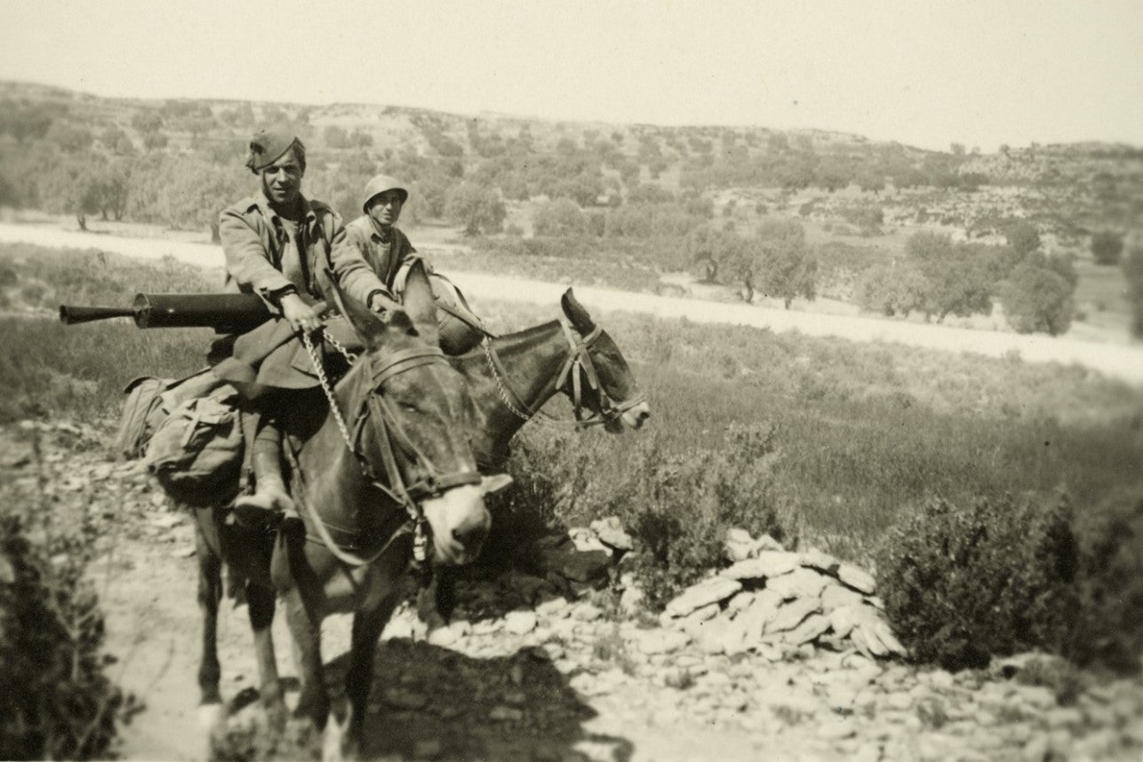 Bild aus dem fotografischen Nachlass von Wilhelm Schrefler, seit 1935 Guglielmo Sandri: Italienische Soldaten auf Maultieren, die auch zum Transport von Maschinengewehren dienten. (LPA/Landesarchiv)