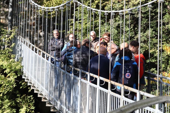 Auf der Hängebrücke über dem Mutbach begutachteten die Exkursionsteilnehmerinnen und -teilnehmer die Rückhaltesperre. (Foto: LPA/Maja Clara)