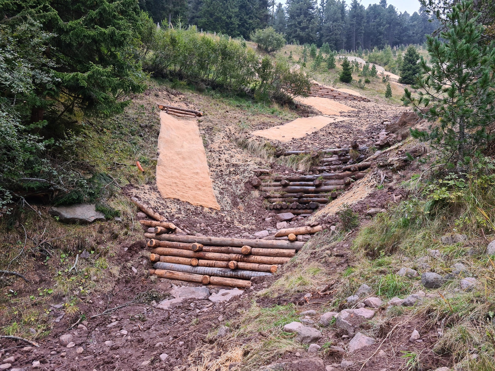 Ecco come si presenta il fossato Hauserlahn al termine dei lavori (Foto: ASP/Ufficio Sistemazione bacini montani Nord)