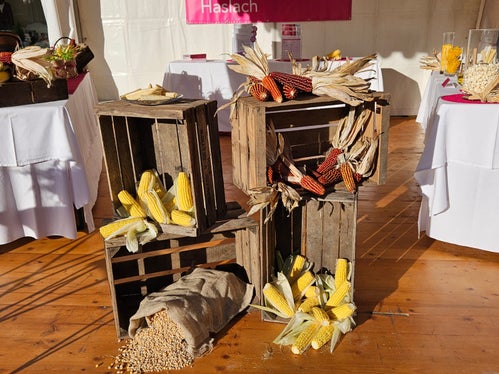 Wissen über Mais: Welche Maissorten eignen sich für Polenta, welche für Popcorn, und welche Besonderheiten gibt es in den regionalen Varianten? Stand der Fachschule für Hauswirtschaft und Ernährung Haslach beim Erntedankfest auf dem Bozner Waltherplatz am 11. Oktober. (Foto: LPA/Fachschule für Hauswirtschaft und Ernährung Haslach)