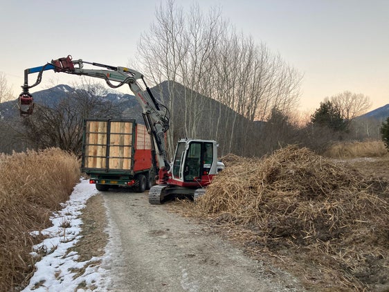 Wichtig für den Artenschutz: Laufende Pflegearbeiten im Biotop Raiermoos (Foto: LPA/Forstinspektorat Brixen)