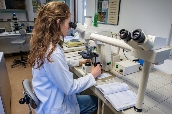 Für die Landesagentur für Umwelt und Klimaschutz (im Bild das Biologische Labor) wird ein Labortechnikerin oder Labortechniker gesucht. Für die unbefristete Stelle in der VI. Funktionsebene können sich Interessierte bis zum 20. Februar, um 12 Uhr, online bewerben. (Foto: LPA/Greta Stuefer)