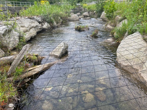 Fließgerinne für die Marmorierte Forelle im Aquatischen Artenschutzzentrum: Erstmals werden über 100.000 Jungfische der Marmorierten Forelle, der einzigen heimischen Forellenart Südtirols, für den Besatz in Südtirols Gewässern bereitgestellt. (Foto: LPA/Aquatisches Artenschutzzentrum)