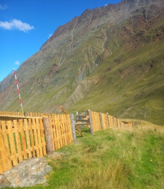 Recinzione per radunare le pecore prima della discesa dalla Ötztal alla val Senales: nel 2026 questa recinzione è stata completamente rinnovata a Rofenberg e parzialmente a Niedertal. (Foto: USP/Manuel Gurschler)