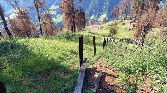 La recinzione del pascolo bruciata è attualmente in fase di ripristino. (Foto: USP/Ispettorato forestale di Silandro)