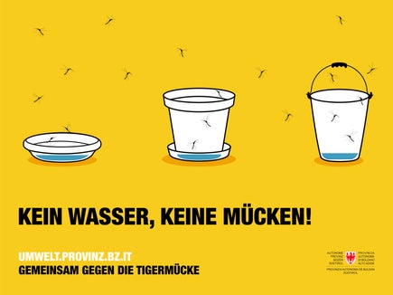 Kein Wasser, keine Mücken! Gemeinsam gegen die Tigermücke heißt die Vorsorge-Kampagne der Landesagentur für Umwelt und Klimaschutz, um die Verbreitung der Tigermücke in der warmen Jahreszeit in Grenzen zu halten. (Foto: LPA/Landesagentur für Umwelt und Klimaschutz/FrabiatoFilm)