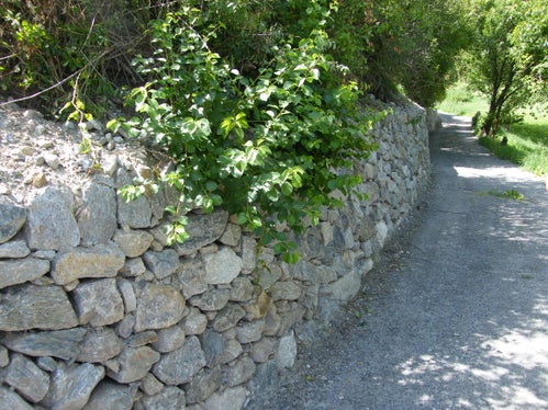 I muretti a secco sono caratteristici del paesaggio e contribuiscono alla conservazione della biodiversità. (Foto: Hermann Tumler)