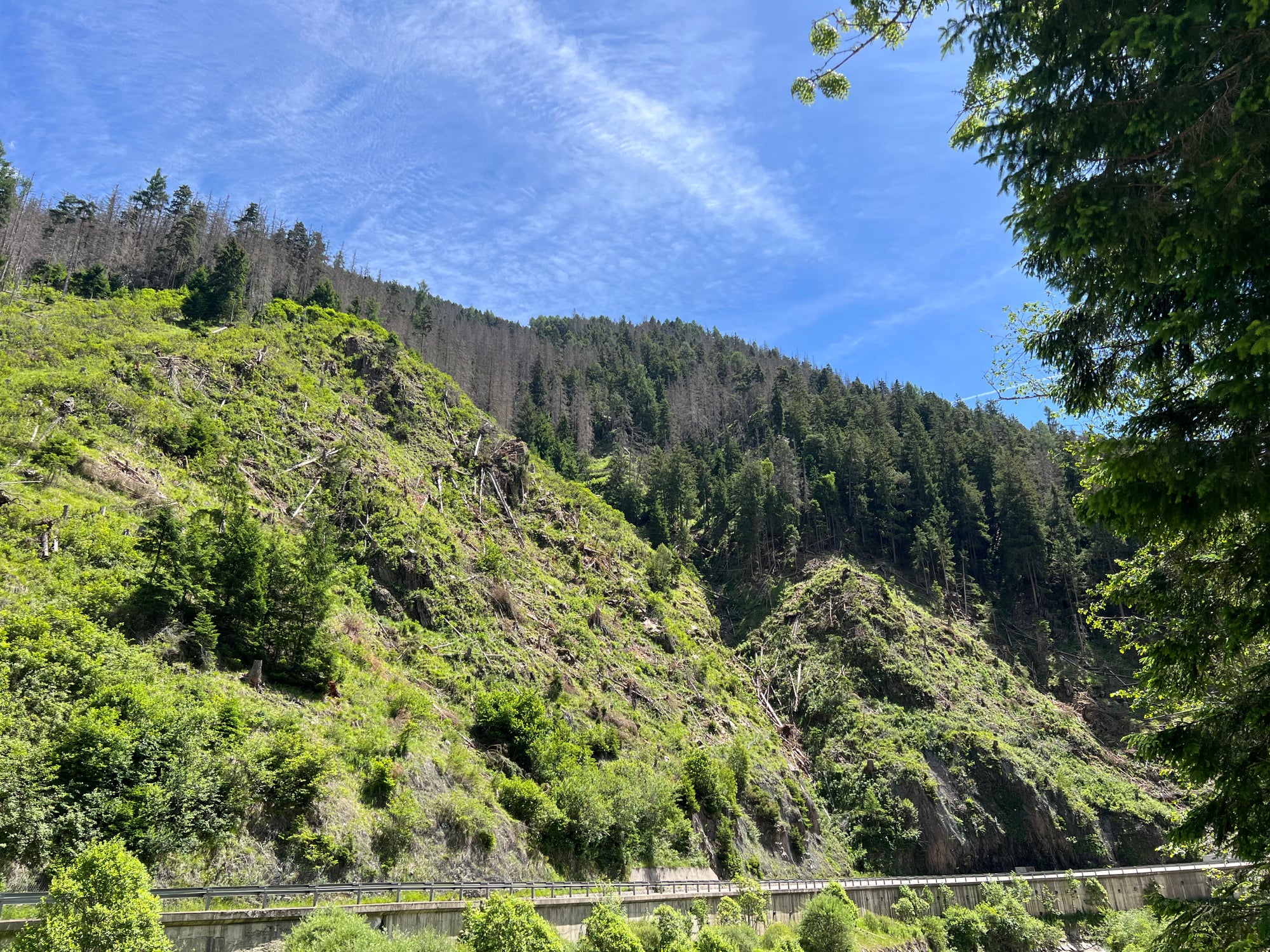 Due criticità lungo la strada statale (SS 244) della Val Badia, tra Longega e Piccolino, saranno affrontate con celeri interventi di messa in sicurezza. (Foto: USP/Dipartimento Infrastrutture e Mobilità)
