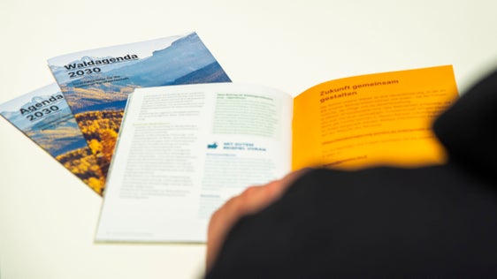 In beiden Landessprachen liegt die Waldagenda vor. Sie kann ab 3. April auch von den Landeswebseiten heruntergeladen werden. (Foto: LPA/Fabio Brucculeri)