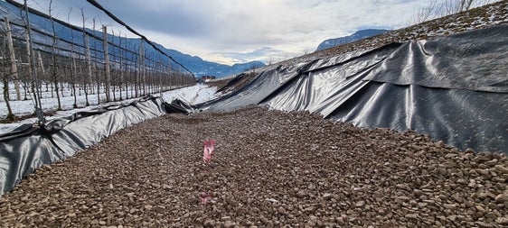 Im Zuge dieses Projektes hat das Amt für Wildbachverbauung Süd in der Agentur für Bevölkerungsschutz den Damm auf der orografisch linken Seite der Etsch in den Gemeinden Auer und Pfatten verstärkt. Die durchgeführten Maßnahmen umfassen den Bau eines Filterkörpers aus Schotter, damit wurde die Gefahr der Unterströmung beziehungsweise Untersickerung verringert und die Stabilität des Dammes bei Hochwasserereignissen erhöht. (Foto: LPA/Amt für Wildbachverbauung Süd in der Agentur für Bevölkerungsschutz)