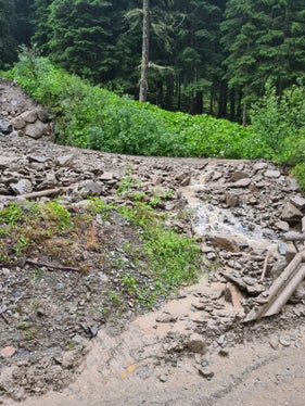 Murgang auf der Straße von Vals in der Gemeinde Mühlbach Richtung Fanealm am 12. Juli (Foto: Landesamt für Wildbach- und Lawinenverbauung Nord in der Agentur für Bevölkerungsschutz)