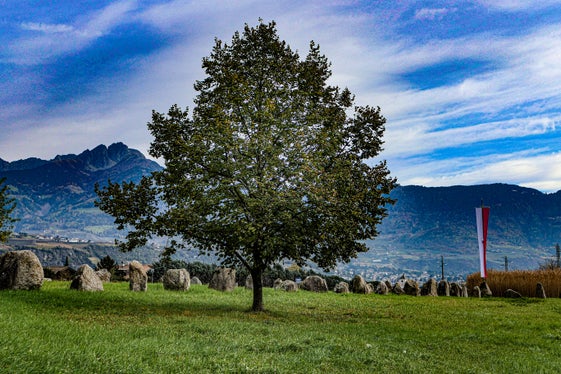 Immagini del mese di novembre 2024: progetto artistico “Stone Age” a Lagundo (Foto: Martin Geier)