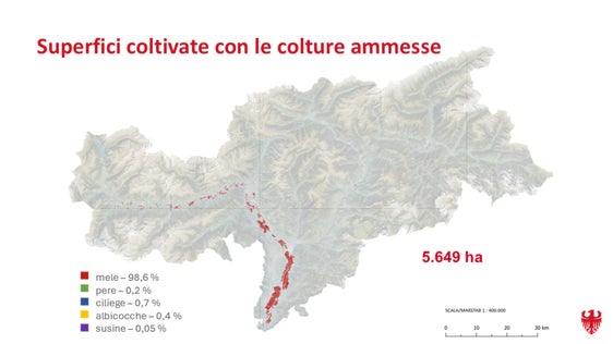 In queste aree è possibile installare impianti agrivoltaici: si tratta di coltivazioni di frutta situate nel fondovalle (massimo 75 metri al di sopra dell'Adige o dell'Isarco). (Foto: USP) 