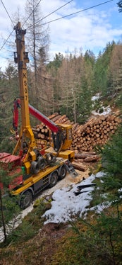 Macchinario con dispositivo a fune sul Monte Fondoli a Villandro. (Foto: USP/Azienda forestale dell'Agenzia Demanio provinciale)