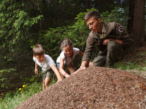 In den Naturparkhäusern gibt eine große Anzahl an Veranstaltungen für Kinder. Im Bild die Dolomiti-Ranger-Tage, die wöchentlich in den Naturparks Drei Zinnen, Fanes-Sennes-Prags, Puez-Geisler und Schlern-Rosengarten stattfinden. (Foto: IDM Südtirol, Wild Zoo Entertainment)

