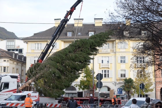 L'albero di Natale, qui mentre viene sollevato con una gru, è stato montato oggi in piazza Walther e illuminerà la piazza del capoluogo durante il periodo natalizio. (Foto: USP/Maja Clara)