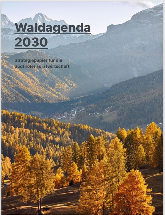 Sieben strategische Handlungsfelder für die nächsten sieben Jahre: Die Verantwortlichen haben die Situation nach Vaia, Schneedruck und Borkenkäferbefall in den Wäldern analysiert und einige Strategien festgeschrieben, um Nachhaltigkeit im Wald zu erreichen. Am 30. März wird die Waldagenda vorgestellt. (Foto: LPA)
