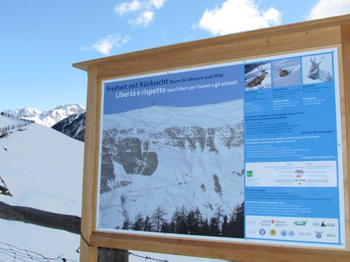 In alcune aree del territorio altoatesino sono apposti tabelloni informativi e indicazioni segnaletiche per indicare agli escursionisti quali tracciati seguire per rispettare gli animali nei loro habitat invernali. (Foto: ASP/Klaus Bliem AVS)