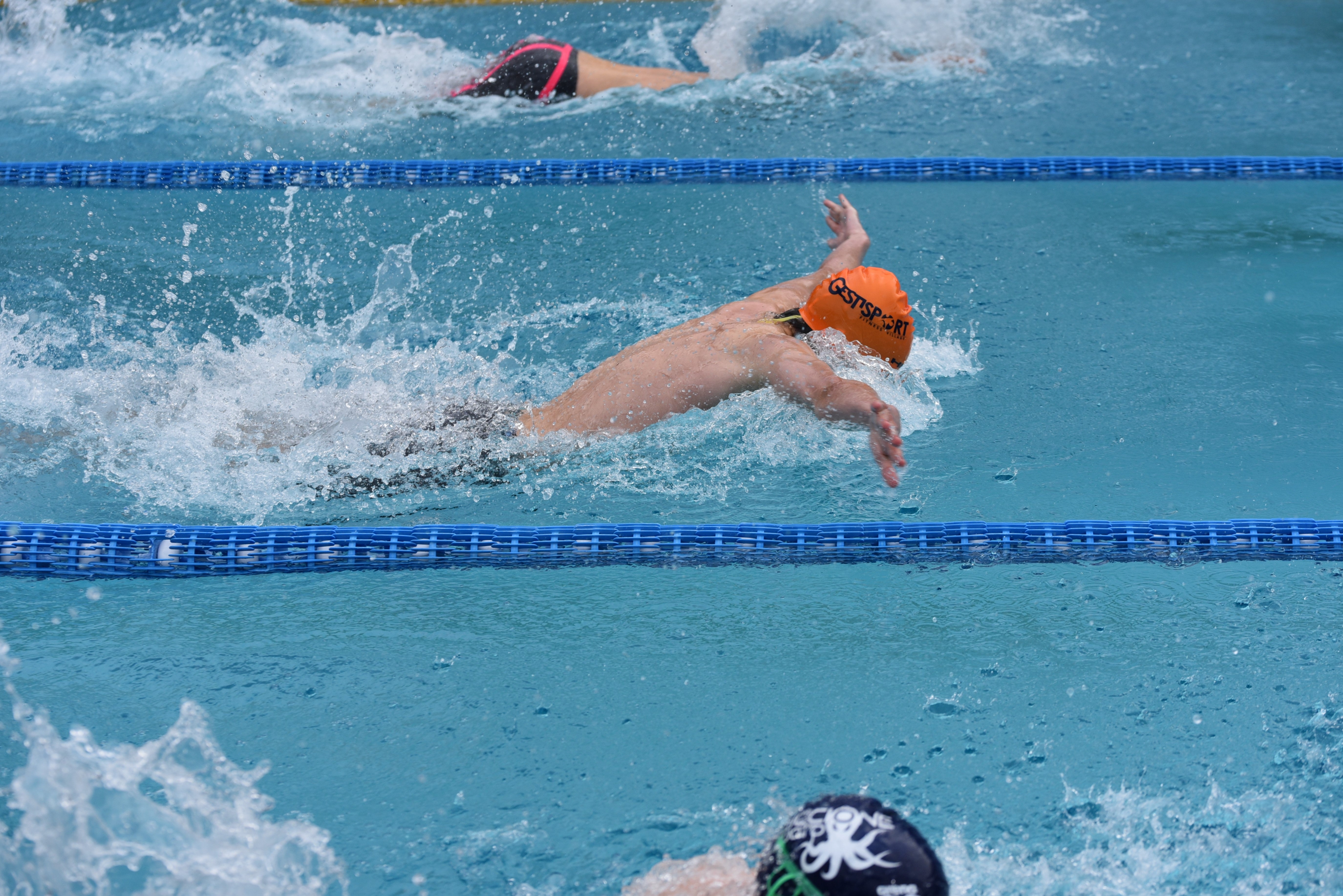 Der Euregio Swim Cup nützt die brückenbauende Wirkung des Sports: Am 13. April wird er in Brixen vorgestellt. (Foto: LPA) 