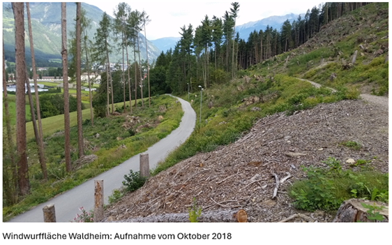 La Cassa Raiffeisen Brunico sostiene con 10.000 euro il "progetto Waldheim" attraverso il Fondo forestale. (Foto: USP/Stazione forestale di Brunico)