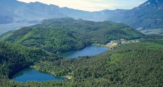 Il Piano paesaggistico per la zona paesaggistica sovracomunale Bosco Monticolo–Monte di Mezzo è stato adattato secondo le disposizioni della legge territorio e paesaggio.&nbsp;(Foto: ASP/Ripartizione natura e paesaggio)
