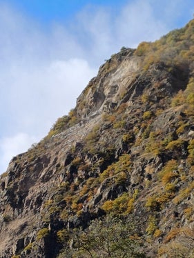 Nachher: Die Sprengung von 1500 Kubikmeter Material ist erfolgreich verlaufen. (Foto: LPA/Landesamt für Geologie und Baustoffprüfung)