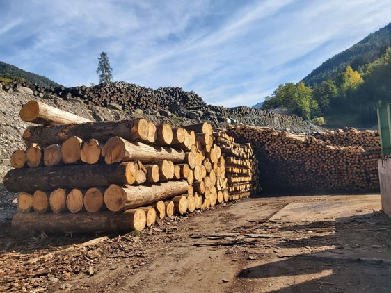 Bauen mit Holz, das zum Großteil in einem Umkreis von 500 Kilometern gewachsen ist, wird gefördert. Heute (13. Juni) hat die Landesregierung Grünes Licht für den Holzbaufonds gegeben. (Foto: LPA/uli)