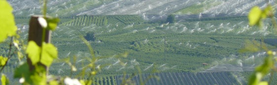 Un'immagine del sistema di irrigazione di grandi superfici in Alto Adige (Foto: ASP/Ufficio Gestione sostenibile delle risorse idriche)