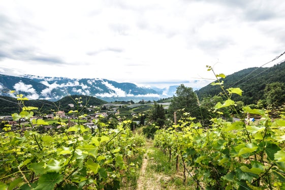 Immagine meteorologica del mese di giugno 2026: Prissiano e la sua natura (Foto: USP/Martin Geier)