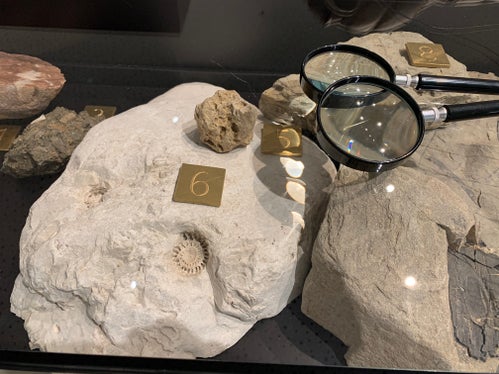 Das Thema Geologie steht im Zentrum der neuen Dauerausstellung im Naturparkhaus Schlern-Rosengarten in Seis. (Foto: Seiser Alm Marketing)