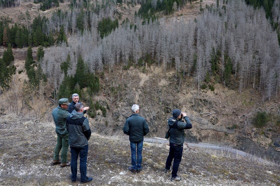 L'assessore alle Foreste Luis Walcher (nella foto 3° da sinistra) durante il sopralluogo nei boschi della Val Badia. (Foto: USP/Dipartimento agricoltura, foreste e turismo/Sabine Pitscheider)