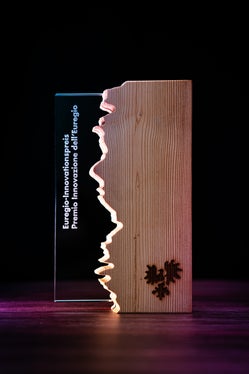 25 aziende e innovatori hanno presentato i loro progetti per il Premio Innovazione Euregio. (Foto: Euregio)  