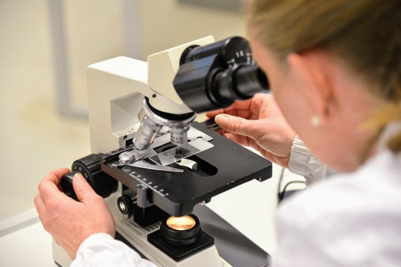 Die Bilanz der Zu- und Abwanderung von Arbeitskräften zeigt, dass es je nach Berufsgruppe große Unterschiede gibt. Bei den hochqualifizierten Berufen ist die Bilanz ausgeglichen, während Südtirol bei den anderen Berufen mehr gewinnt als es verliert. (Foto: LPA/Peter Daldos)