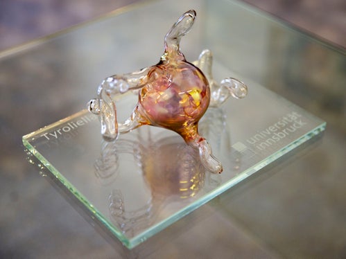 Le spore del nuovo fungo Tyroliella messe sotto vetro e trasformate in un'opera d'arte (Foto: ASP/Fabio Brucculeri)