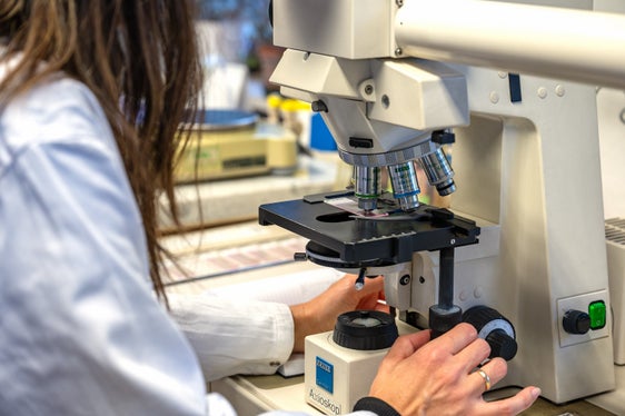 La Provincia autonoma di Bolzano sostiene la mobilità in entrata e in uscita di ricercatori e ricercatrici. Il nono bando è aperto fino al 12 giugno. (Foto: USP/Greta Stuefer)