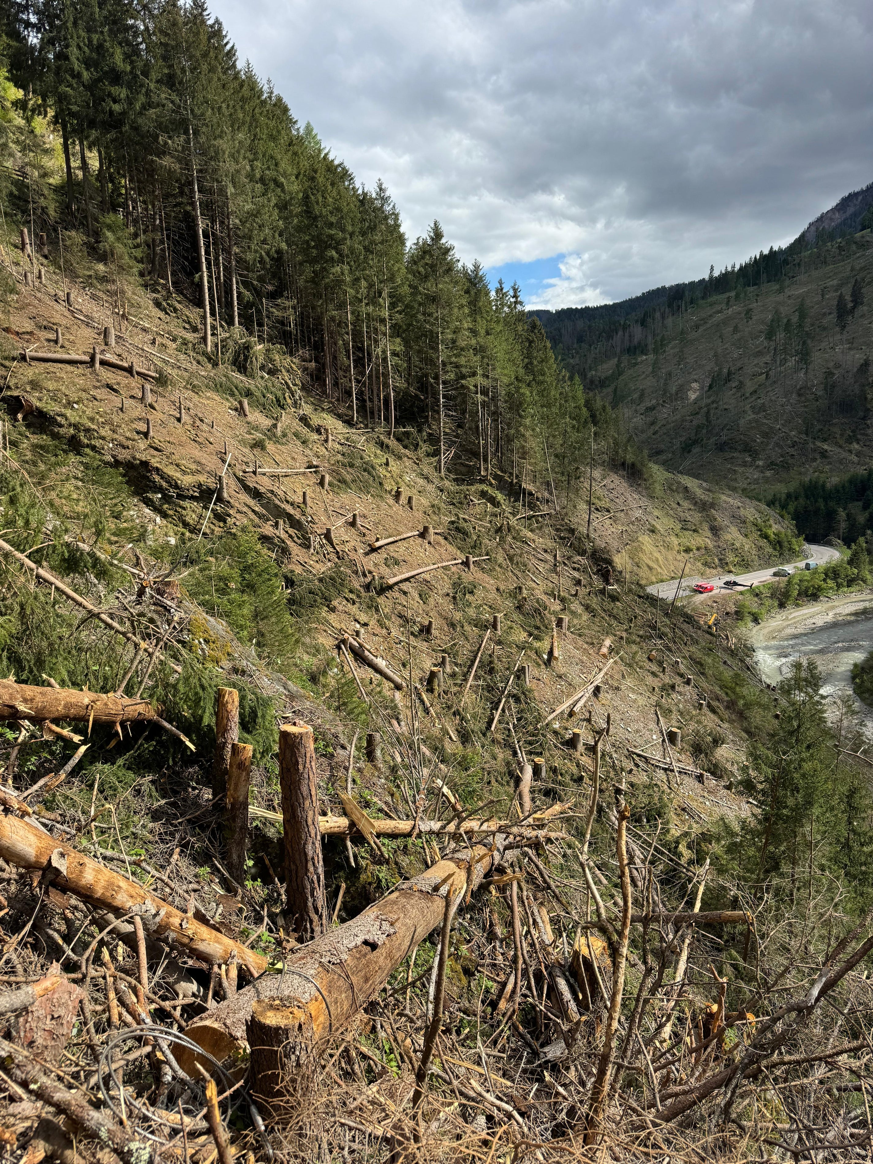 Nel fine settimana del 16 e 17 maggio sono stati completati i lavori previsti nel bosco di protezione lungo la strada statale SS244 della Val Badia, in seguito ai danni causati dal bostrico. (Foto: USP/Dipartimento Infrastrutture e Mobilità)