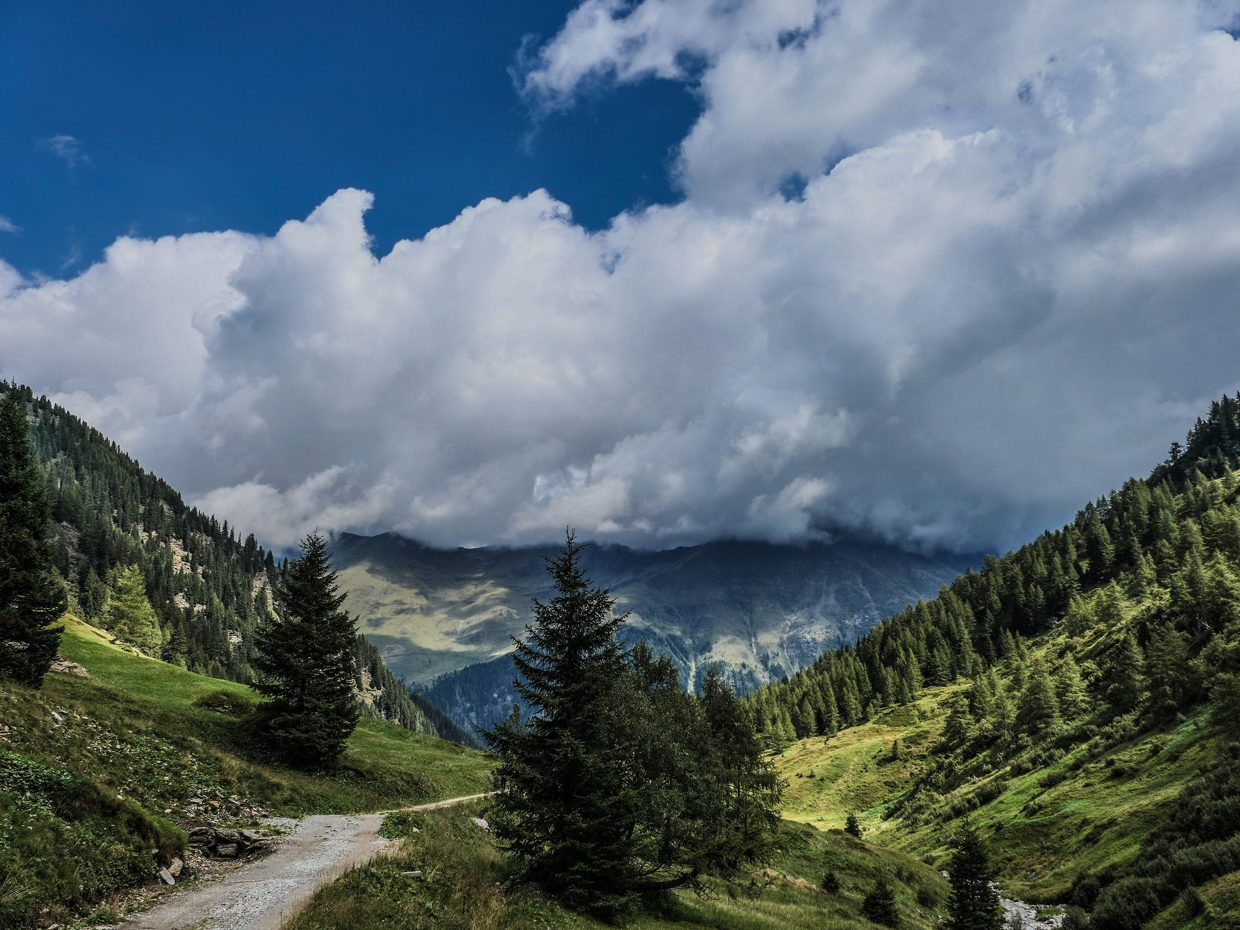 Bild des Monats August 2025: Valtigltal Ridnaun (Foto: LPA/Martin Geier)