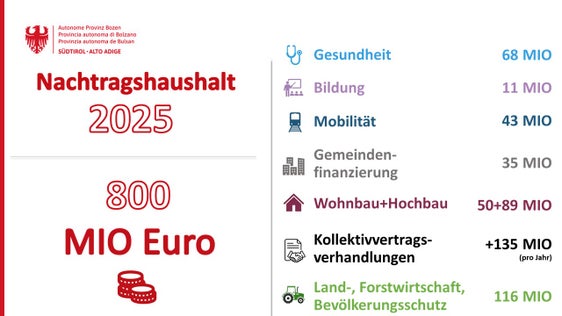 Über den Nachtragshaushalt werden insgesamt 800 Millionen Euro auf unterschiedliche Bereiche aufgeteilt. (Infografik: LPA)