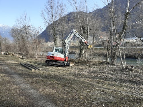 L'Ufficio sistemazione bacini montani Sud avvierà la prossima settimana i lavori di manutenzione delle rive dell'Adige e dei suoi affluenti tra Merano e Salorno (Foto: ASP/Ufficio sistemazione bacini montani Sud)