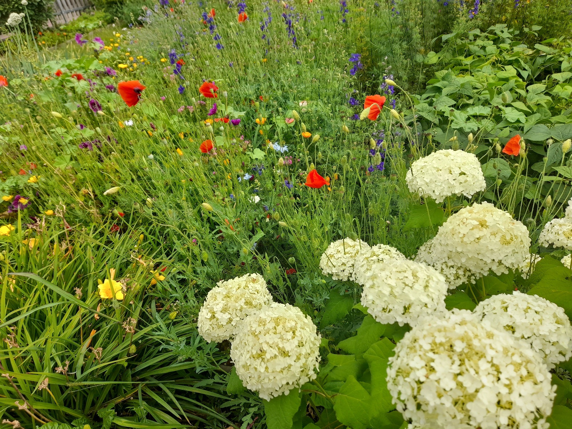 Landesrat Luis Walcher hat in der Sitzung der Landesregierung vom 9. September Maßnahmen für die Erhaltung des Naturraums und der Artenvielfalt vorgestellt, die in Südtirol bereits umgesetzt werden oder sich in Planung befinden. (Foto: LPA/Maja Clara)