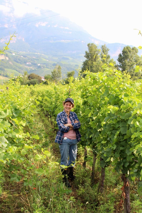 Südtirols erste geprüfte Winzerin Lucrezia Schmid im Weinberg in Margreid (Foto: LPA/Weingut Alois Lageder) 