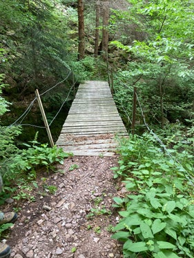 Alte Brücke: Drei Jahre lang war Weg von Aldein nach Branzoll aufgrund von Steinschlaggefahr gesperrt. (Foto: LPA/Landesforstinspektorat Bozen I)