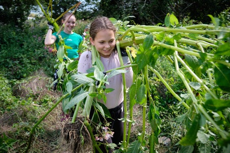 Beim Projekt Firdays for Nature halfen die Jugendlichen tatkräftig mit, Schutzgebiete von invasiven Neophyten zu befreien. (Foto: Oliver Oppitz) 