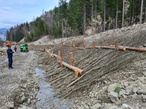 L'Ufficio provinciale bacini montani Est lavora sfruttando il metodo della biologia ingegneristica, che prevede l'utilizzo di piante come protezione dall'erosione; nella foto, il caposquadra Heinz Baumgartner. (Foto: ASP/Ufficio bacini montani Est)