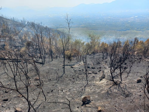 An den Hängen des Vesuvs wütete ein Großbrand. Der nationale Zivilschutz in Rom fragte um Unterstützung bei der Brandbekämpfung auch aus Südtirol an. (Foto: LPA/Berufsfeuerwehr Bozen)