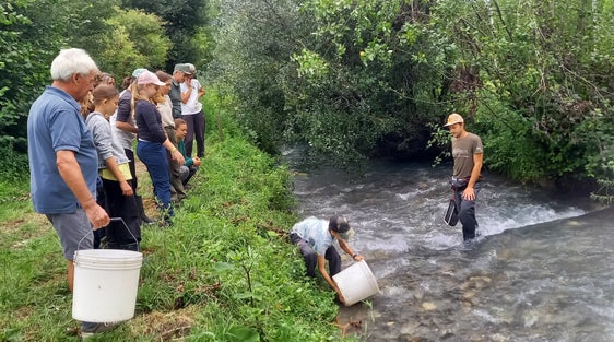 Am Sackbach, einem Altarm der Etsch, wurden unter der Leitung von Simon Schwienbacher kurzzeitig die Mühlkoppe und die marmorierte Forelle sowie Insektenlarven entnommen, begutachtet und deren Lebensweise erklärt, bevor sie wieder ihrem Lebensraum zurückgegeben wurden. (Foto: LPA/Umweltschutzgruppe Vinschgau/Ingrid Karlegger)