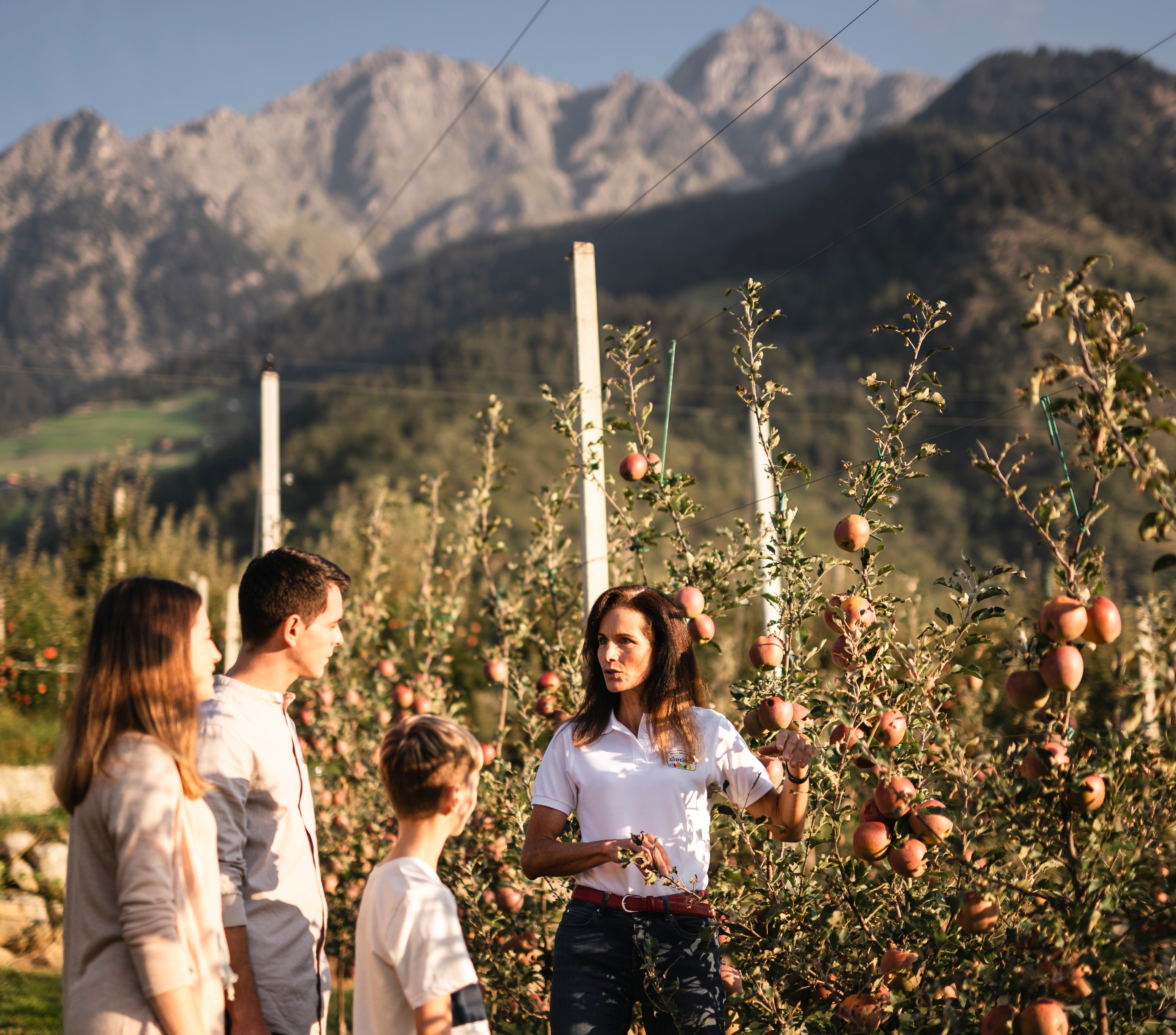 I soggetti attivi a livello agricolo possono ora unirsi per formare dei distretti alimentari e ottenere così l'accesso ai sussidi statali per la commercializzazione dei prodotti locali. (Foto: IDM / Consorzio delle mele dell'Alto Adige / Patrick Schwienbacher)